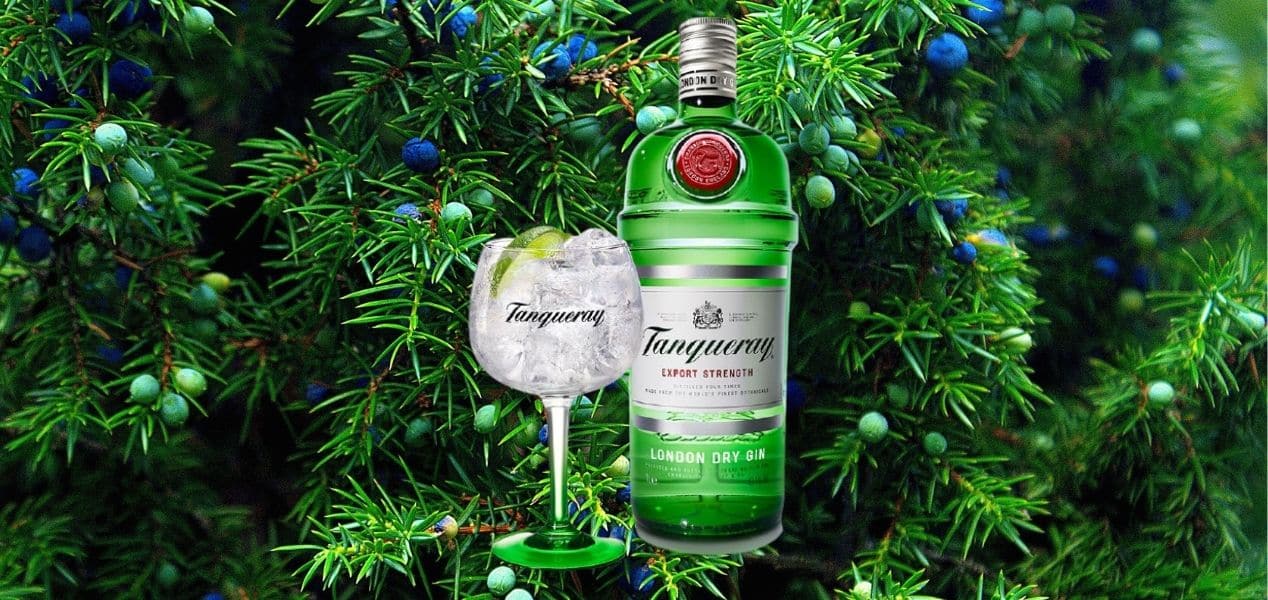 Tanqueray Gin Review