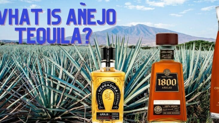 What Is Anejo Tequila