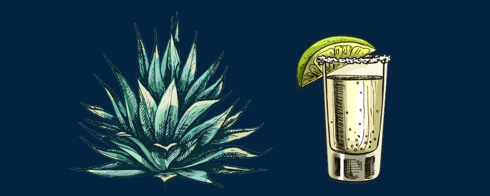 Origin Of Tequila